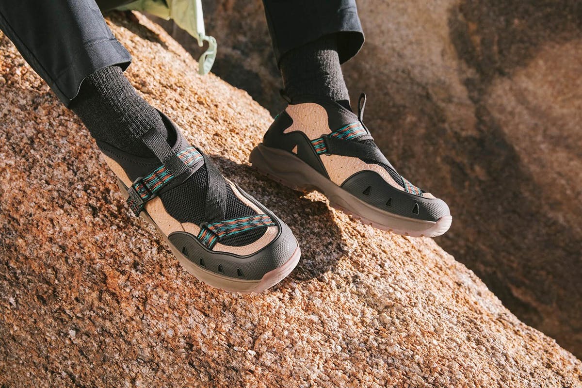 tevas price